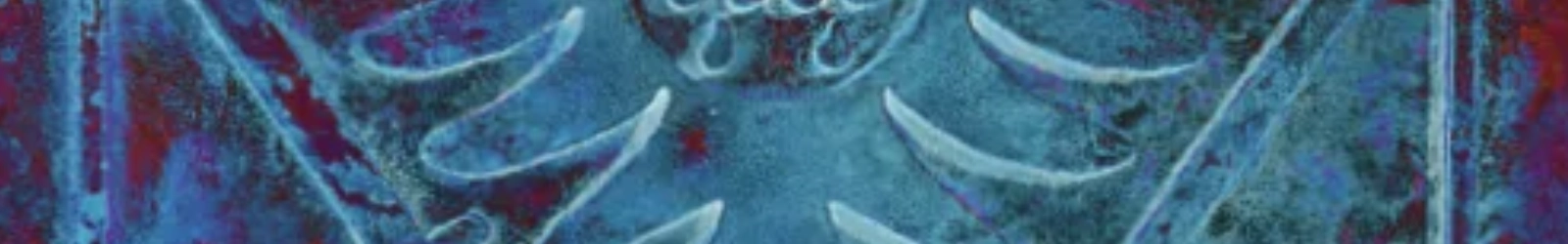 Ausschnitt eines farbigen Bildes, auf dem ein Teil des Adlers eines Köln Wappens zu sehen ist. | konzeptdesignkunst